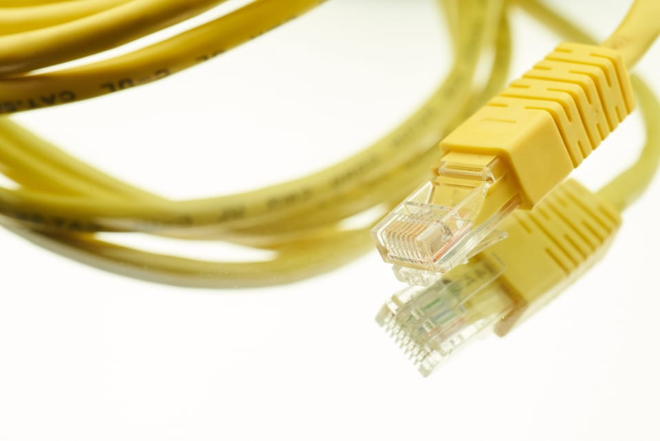 a network cable connector, representing the technical infrastructure layer a professional SEO audit examines